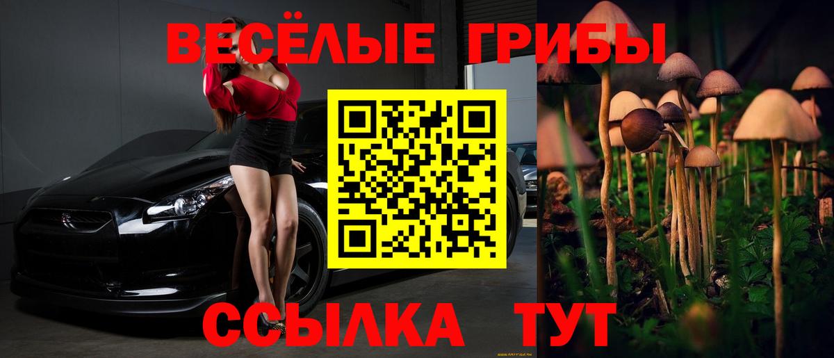 Псилоцибиновые грибы Psilocybine cubensis  Вход с VPN  продажа наркотиков  Унеча 